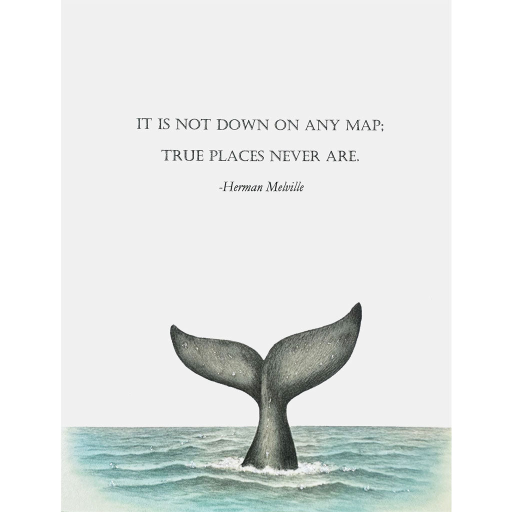Whale Moby Dick Card