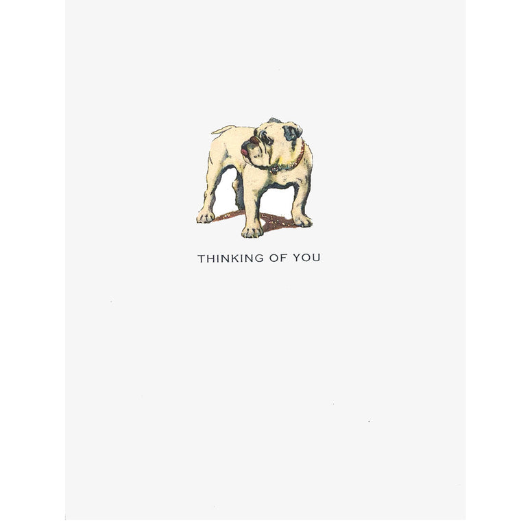 Bulldog greeting card Lumia Designs
