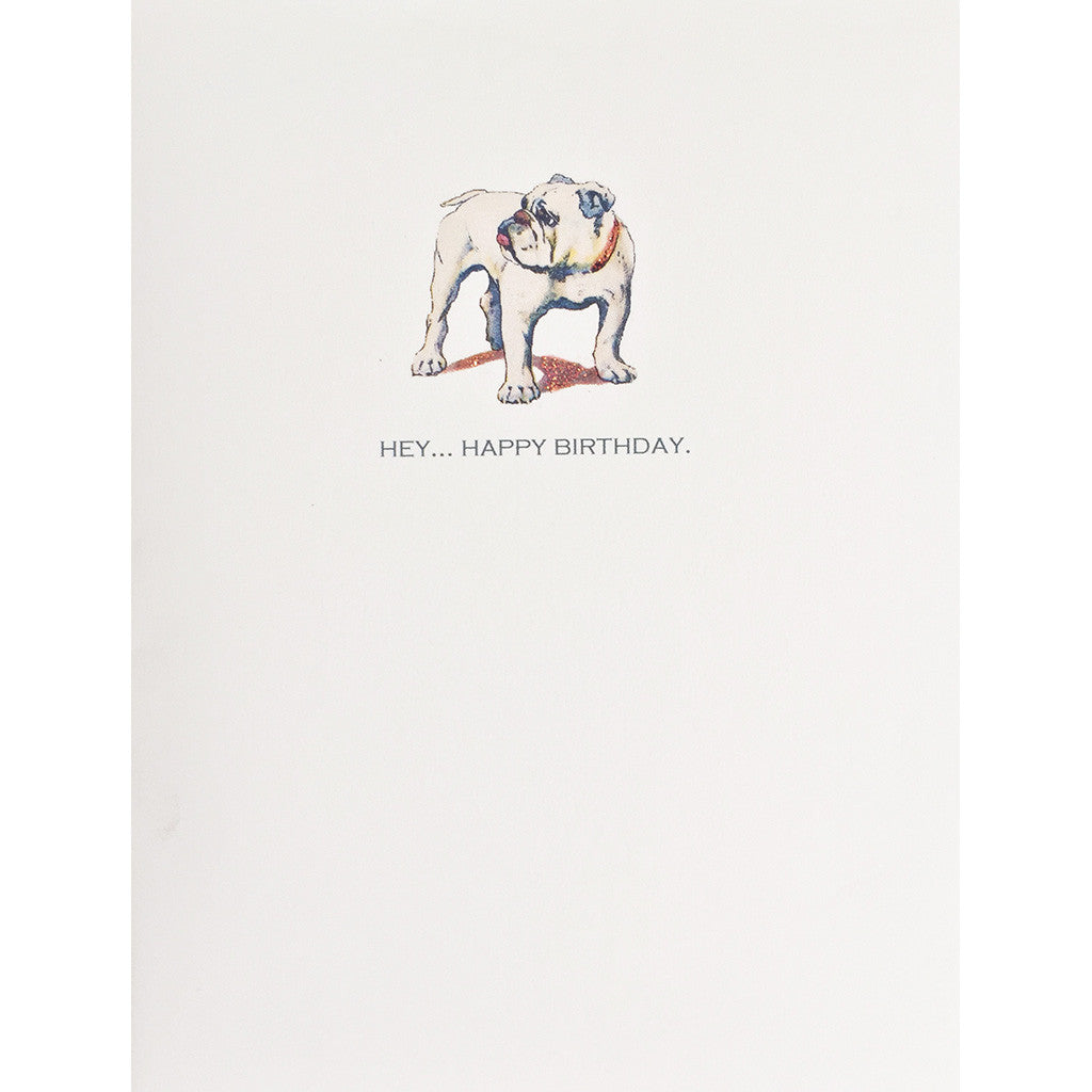 Bull Dog Birthday Card Lumia Designs