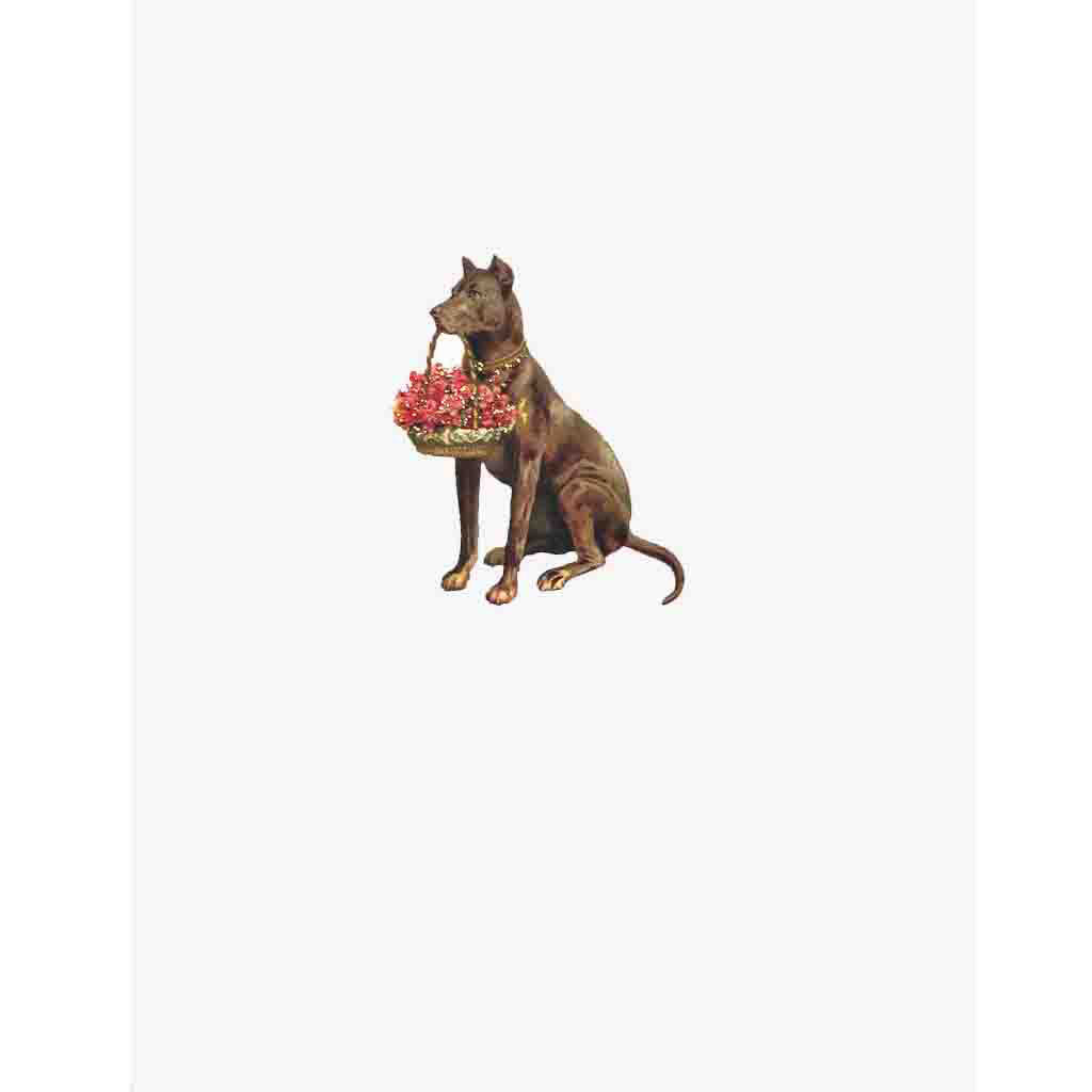 Dog with Flower Basket greeting card. Lumia Designs