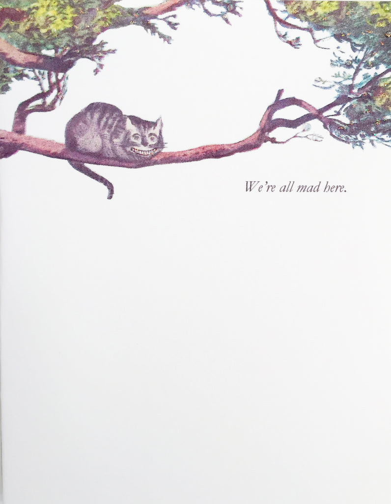 Cats Note Card Box Set