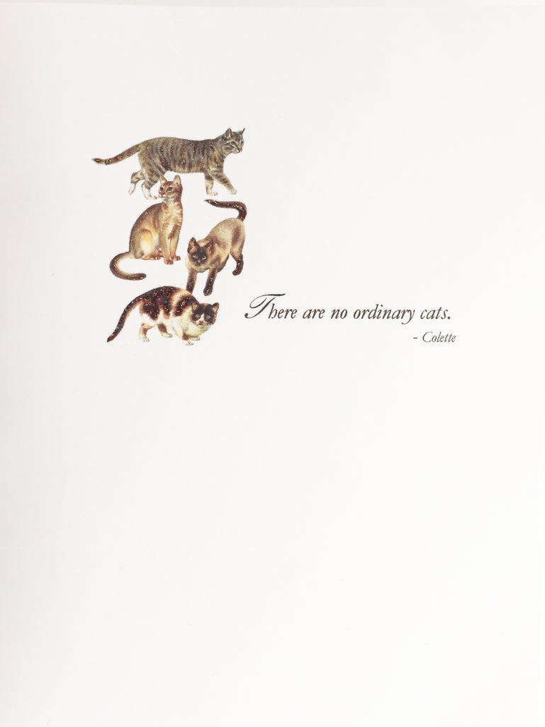Cats Note Card Box Set