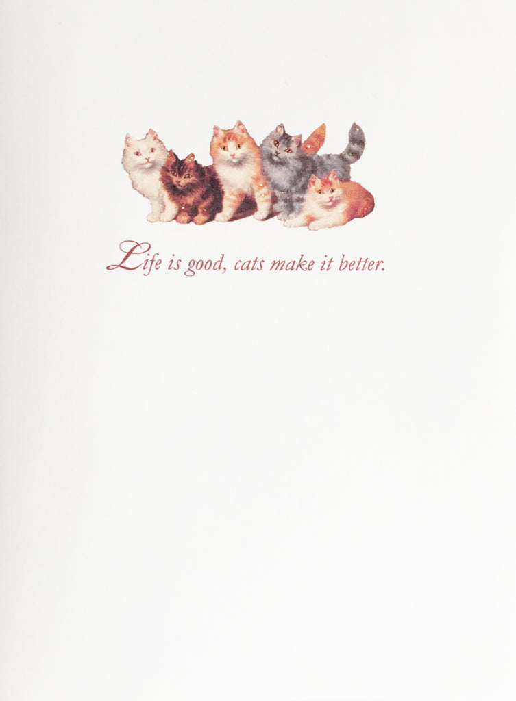 Cats Note Card Box Set
