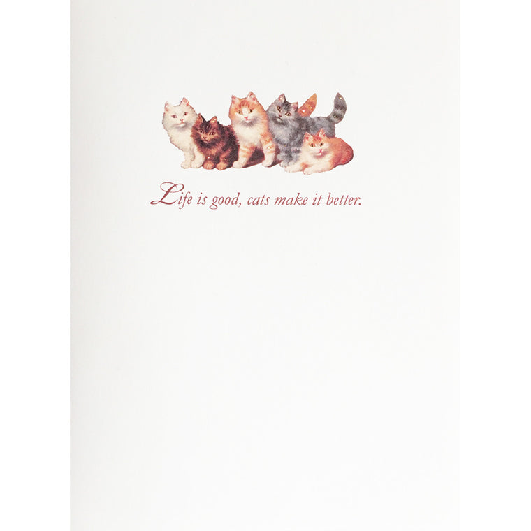 Greeting Card Cats Make it Better - Lumia Designs
