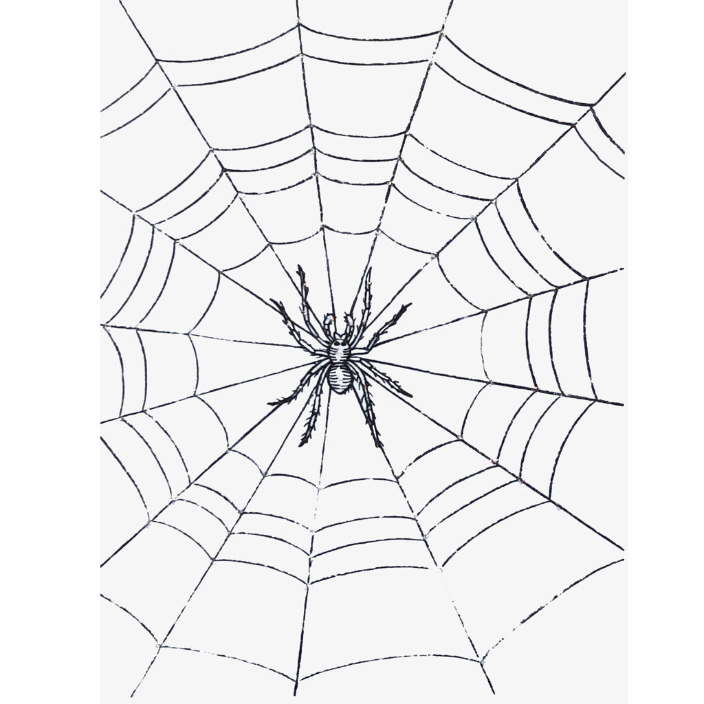 Spider Web Card