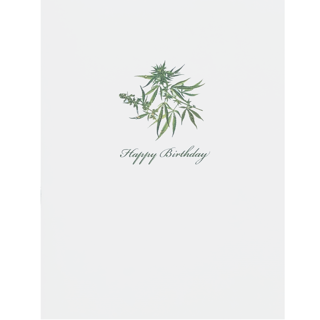 Cannabis Notecard Box Set