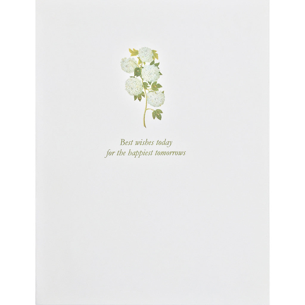 Greeting Card Whie Hydrangea - Lumia Designs