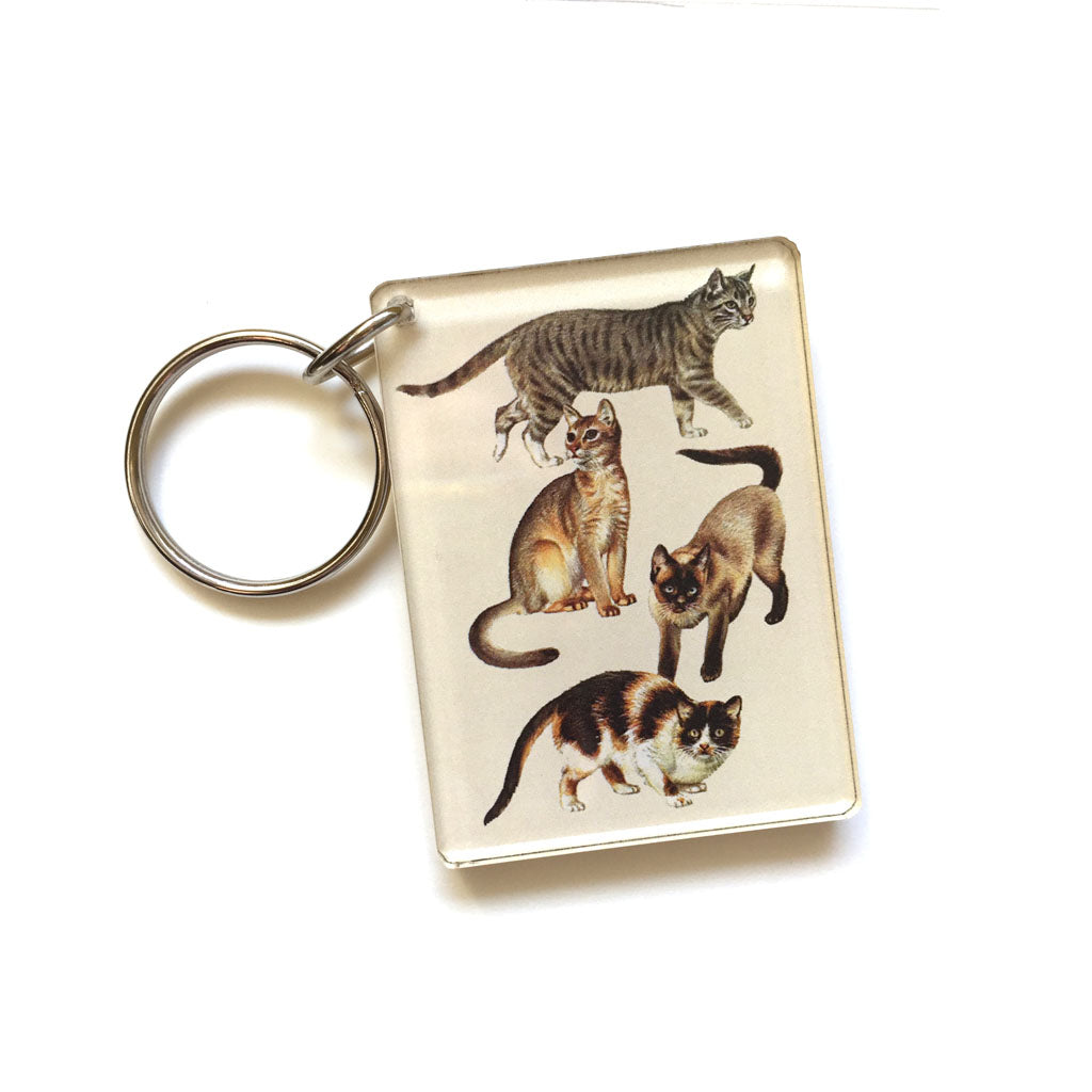 Cat Keychain (Quote on back)