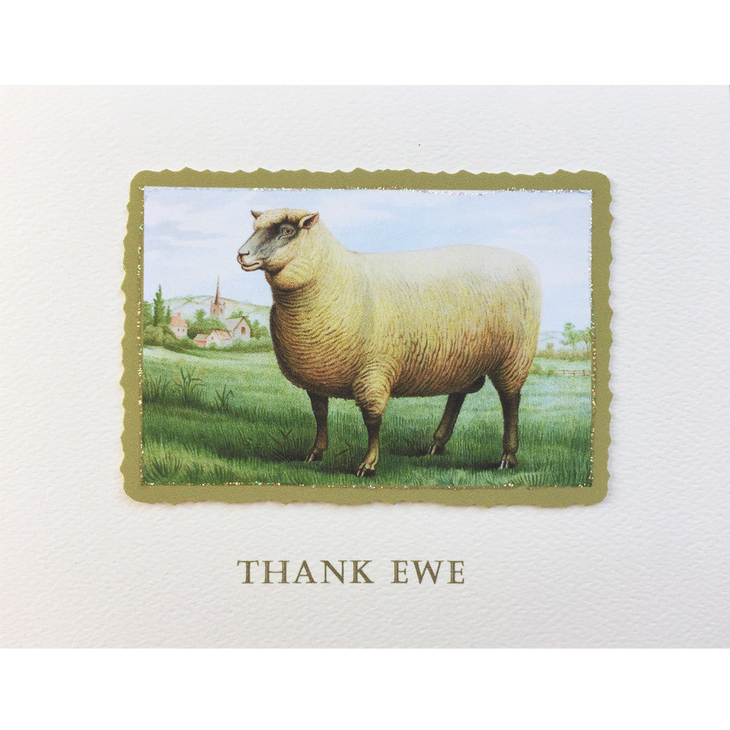 Thank Ewe