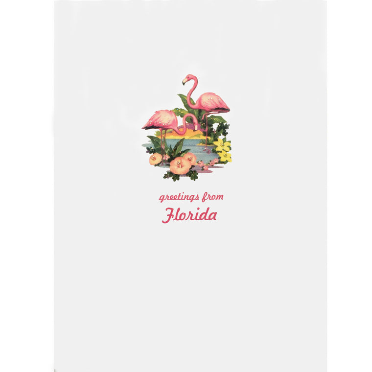 Florida Flamingos Card